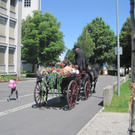 IMG_8113_JPG-1305901290