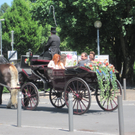 IMG_8114_JPG-1305901333