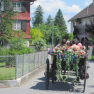 IMG_8115_JPG-1305901377