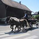 IMG_8117_JPG-1305900543