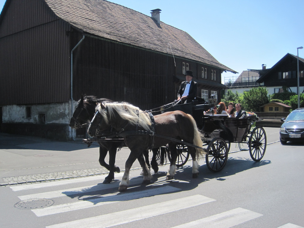 IMG_8117_JPG-1305900543