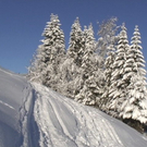 DSC00980.JPG
