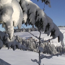 DSC00983.JPG