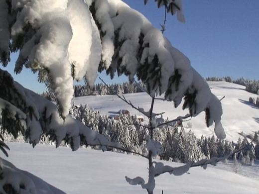 DSC00983.JPG