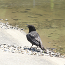 IMG_8409.jpg