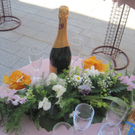 IMG_8122_JPG-1305908535