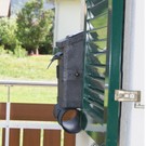 Vogelnest 1_jpg-1305913846