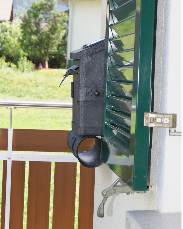 Vogelnest 1_jpg-1305913846