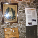 Bild 048_jpg-1305931229