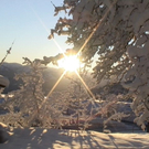 DSC00906.JPG