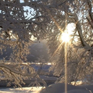 DSC00909.JPG