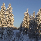 DSC00911.JPG