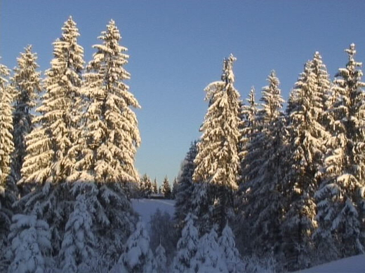 DSC00911.JPG
