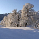 DSC00915.JPG