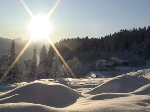 DSC00922.JPG