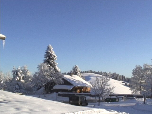 DSC00942.JPG