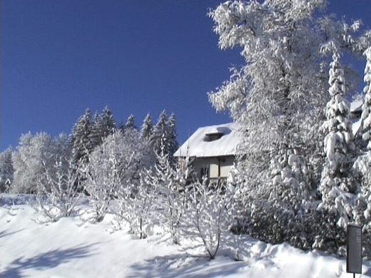 DSC00960.JPG