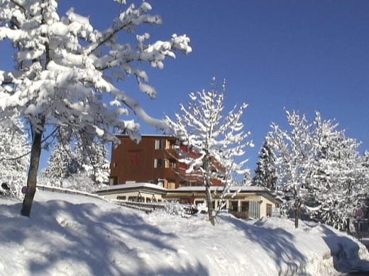 DSC00961.JPG