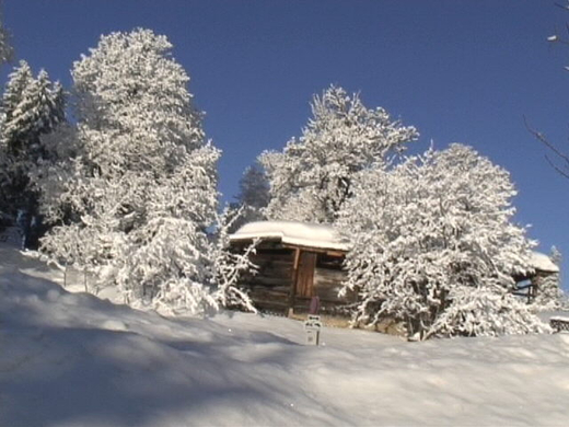 DSC00968.JPG