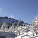 DSC00971.JPG