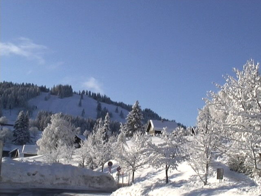 DSC00971.JPG