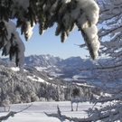 DSC00984.JPG
