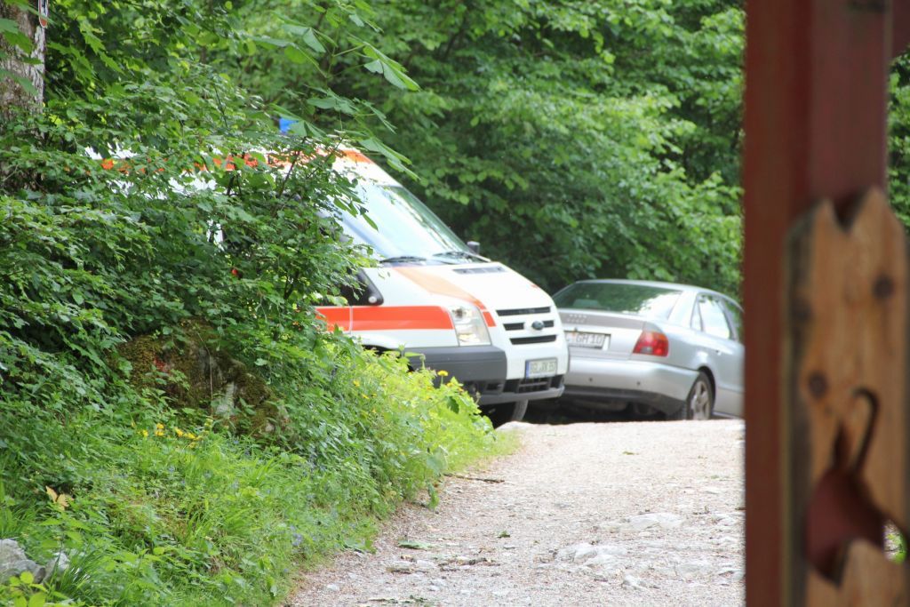 normal_21052011malerwrlaktivnews2_20_11_.jpg