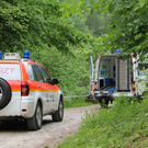 normal_21052011malerwrlaktivnews2_20_5_.jpg