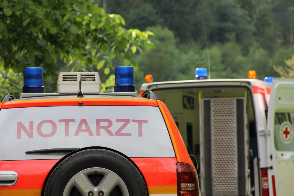 normal_21052011malerwrlaktivnews2_20_6_.jpg