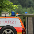 normal_21052011malerwrlaktivnews2_20_6_.jpg