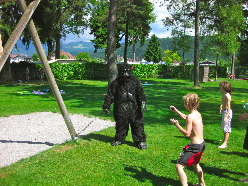 BK_waldbadgorilla 1_jpg-1306073019