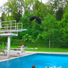 BK_waldbadgorilla 4_jpg-1306073052