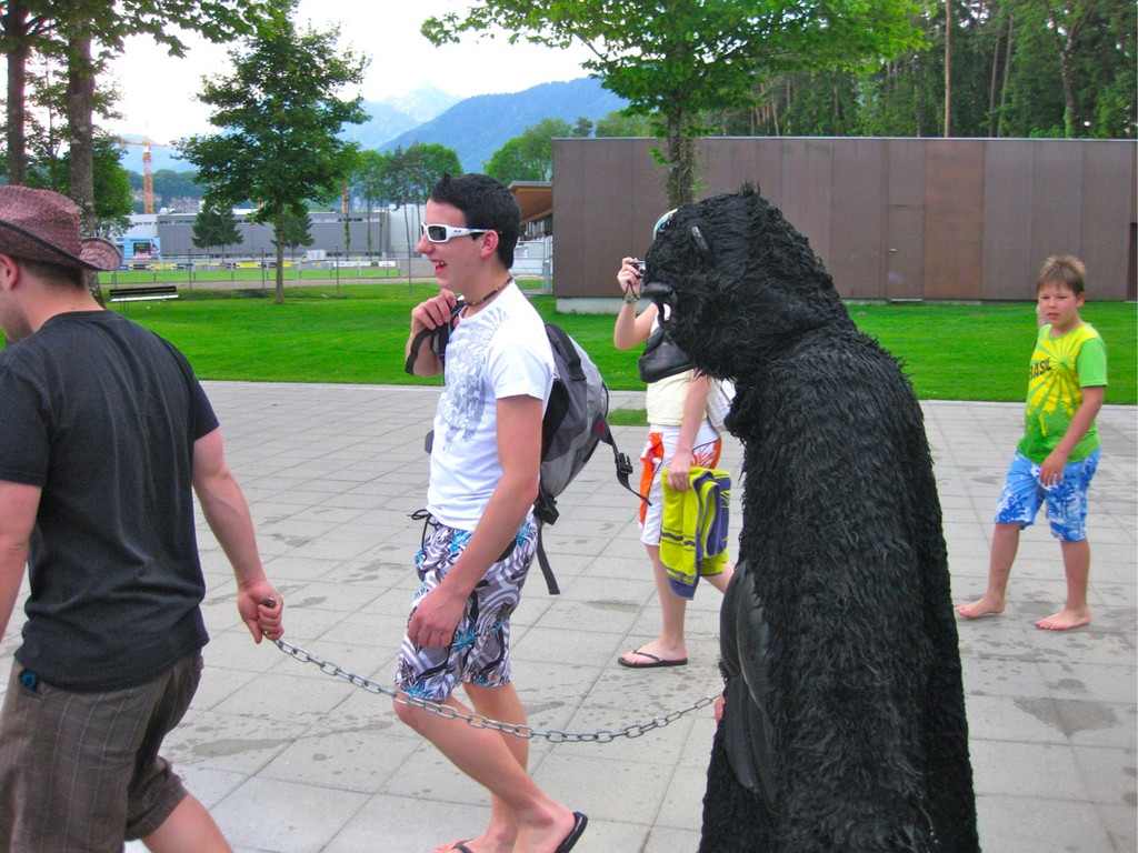 BK_waldbadgorilla 10_jpg-1306073117
