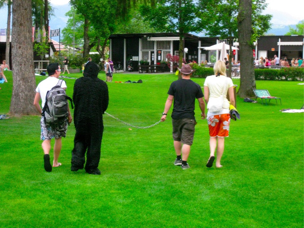 BK_waldbadgorilla 11_jpg-1306073126