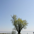 normal_21052011st2fraueninselaktivnews-12.jpg