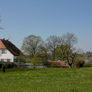 normal_21052011st2fraueninselaktivnews-23.jpg