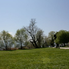 normal_21052011st2fraueninselaktivnews-27.jpg