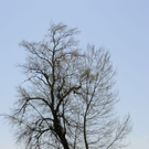 normal_21052011st2fraueninselaktivnews-6.jpg