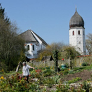 normal_21052011st2fraueninselaktivnews-7.jpg
