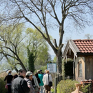 normal_21052011st2fraueninselaktivnews-8.jpg