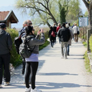 normal_21052011st2fraueninselaktivnews-9.jpg