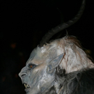 03122009stleonhardffaktivnews_060.jpg