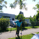IMGP1699klein_jpg-1306083540