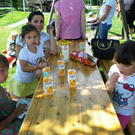 IMGP1711klein_jpg-1306083749