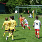 P1000960_JPG-1306098460