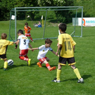 P1000965_JPG-1306098473