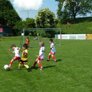 P1000975_JPG-1306098494