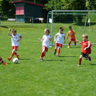 P1010052_JPG-1306098614