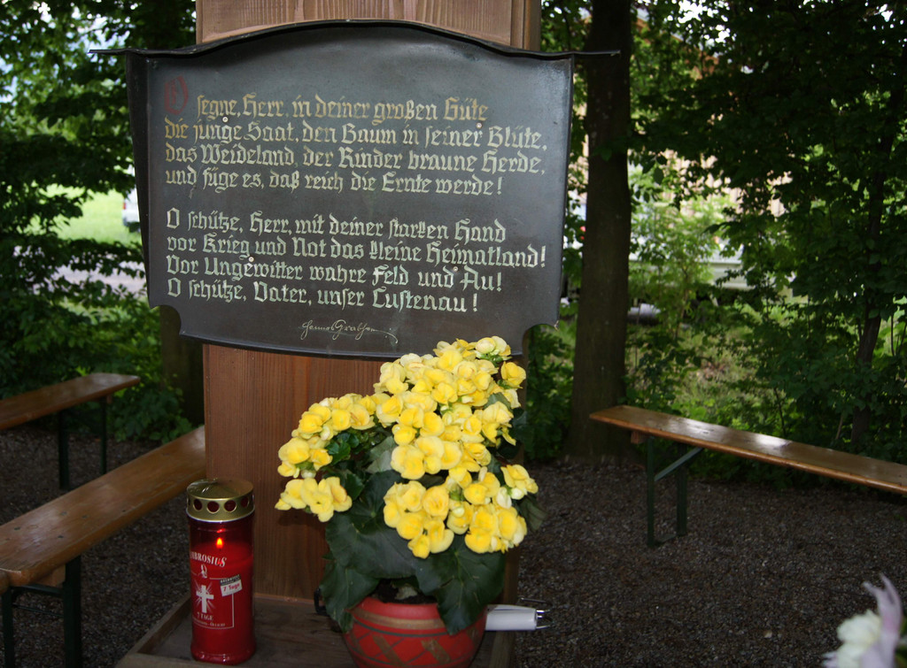 DSC09222.JPG