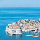Reise1.gif
